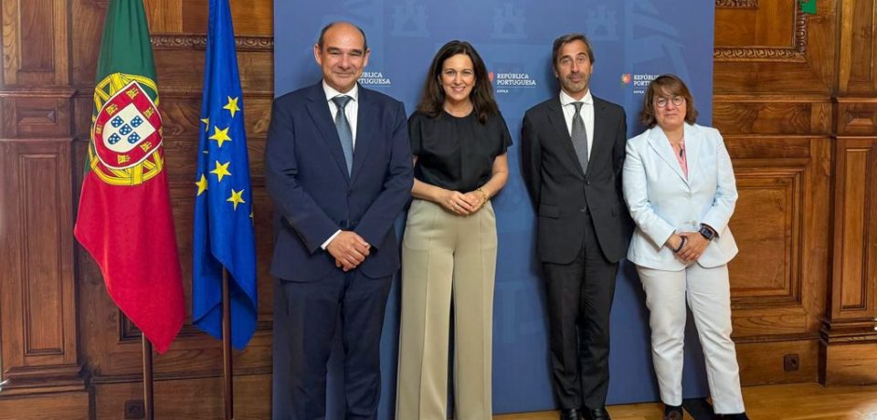 edit-2-Fotografia_STA_TAF_2506-1024x683 edit-2-Fotografia_STA_TAF_2506-1024x683